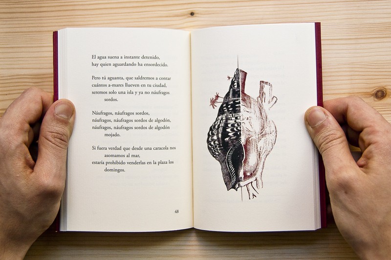 alfinal_anamunoz_olifante_4_1